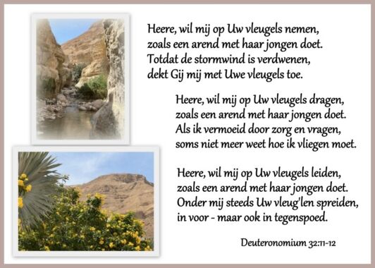 2023_Maart_ Israel1.jpg