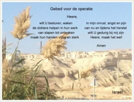 IMG_7149.JPG