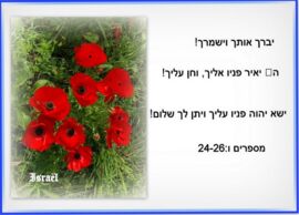 +++++blanco kaarten webshop45.jpg