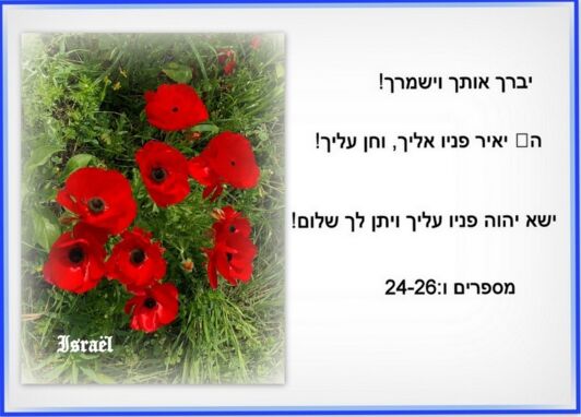 +++++blanco kaarten webshop45.jpg