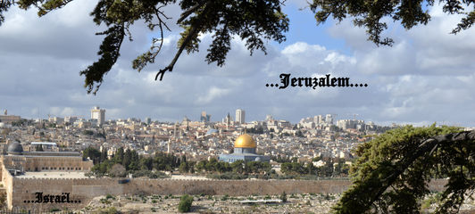 039-50-38-DSC_5359 - kopie - kopie