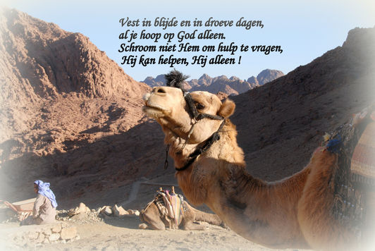 021-48-Dec 2009 Egypte 2 de 036