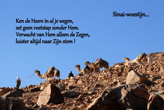 019-20-Dec 2009 Egypte 2 de 032